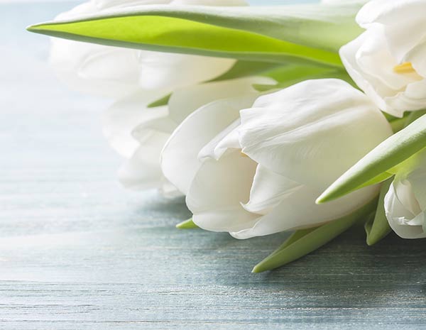 We can help you with planning a funeral for your loved one.